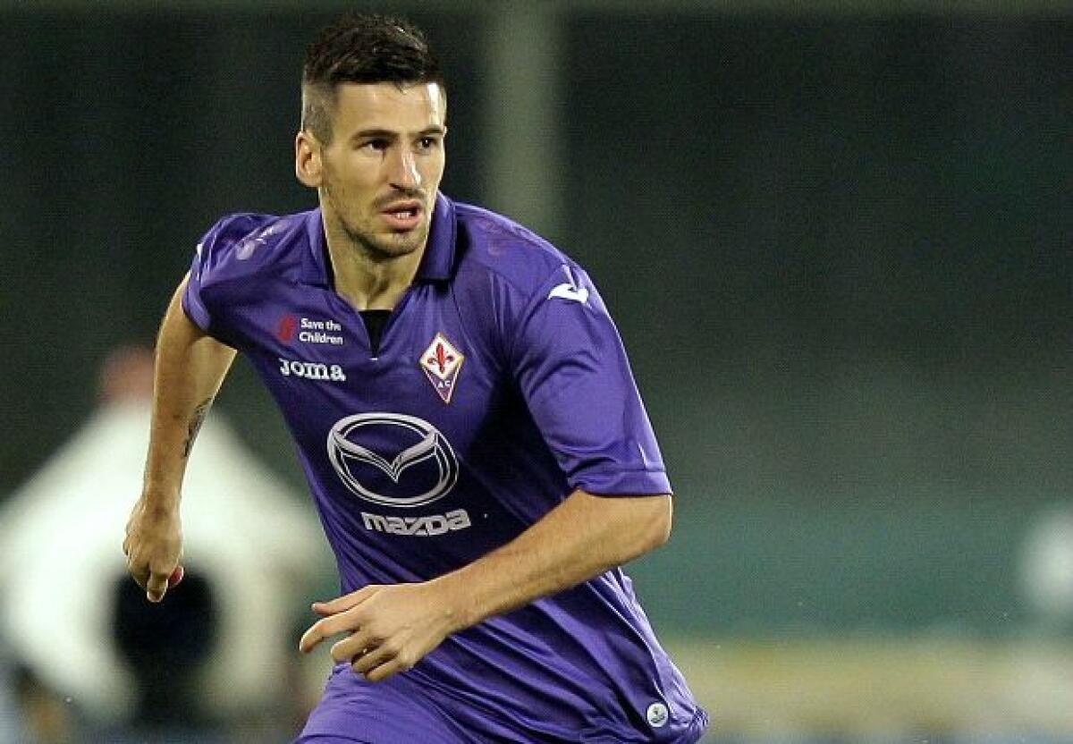 Tuttosport, Mihajolovic vuole Tomovic nel suo Torino - 