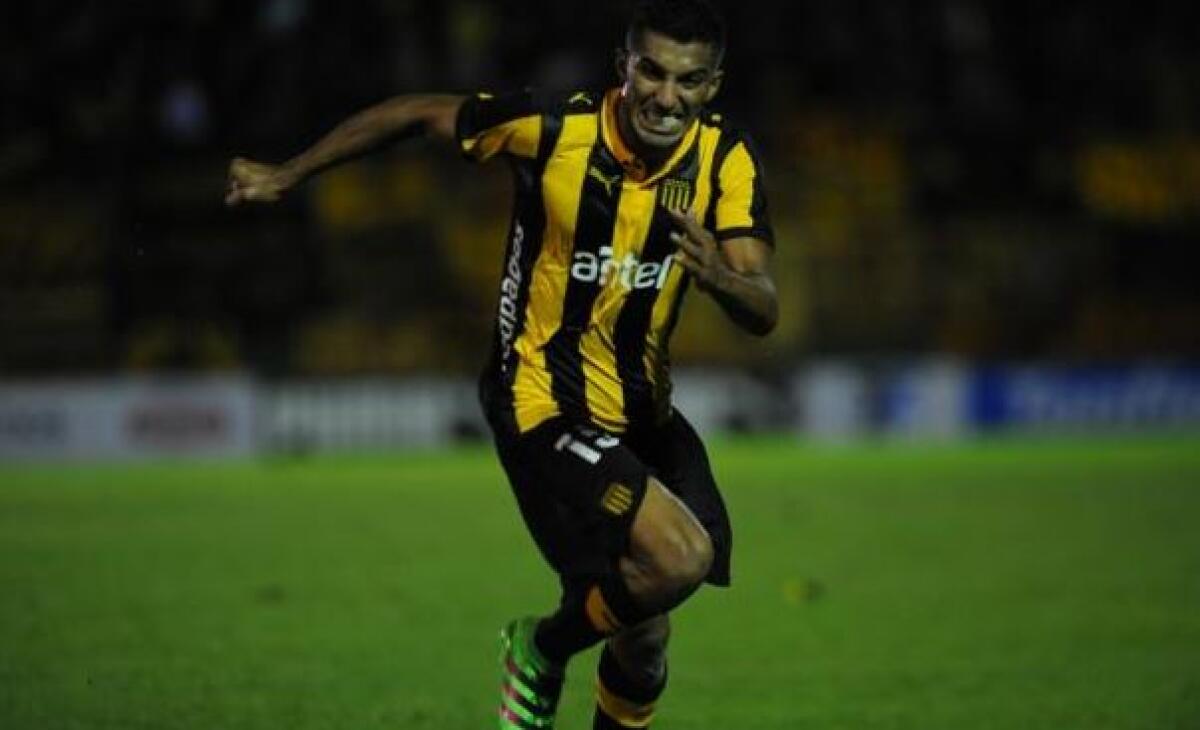 I DETTAGLI SU OLIVEIRA: CHI E' E COME CAMBIA LA FIORENTINA. INTANTO I TIFOSI... - 