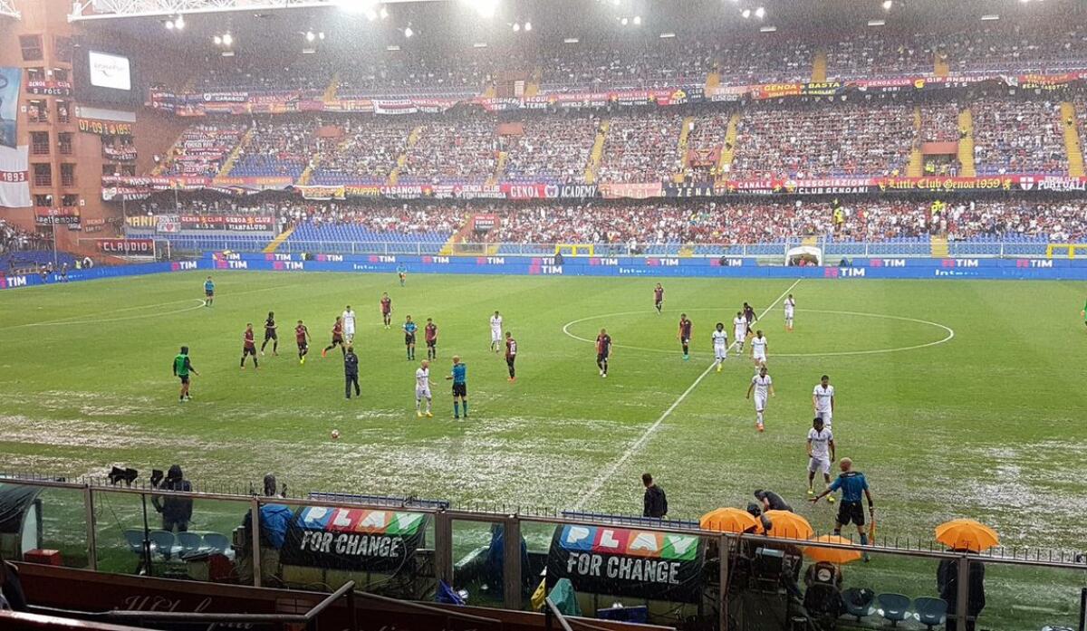 A Genova provocano la Fiorentina: "Il Genoa è difficilissimo da affrontare, prima che venisse sospesa la gara stava triturando i viola" - 