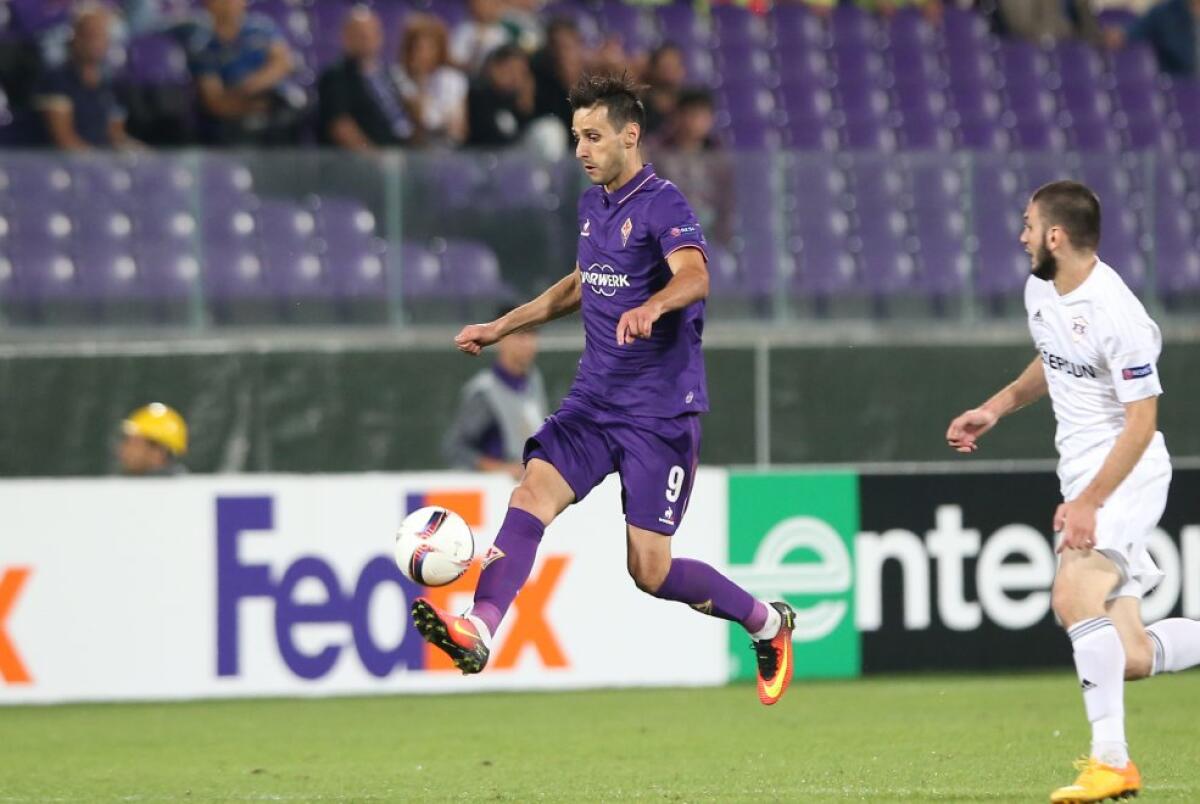 Il dibattito divide il popolo viola. Meglio una punta o due? Sousa contro il Torino pare aver deciso... - 