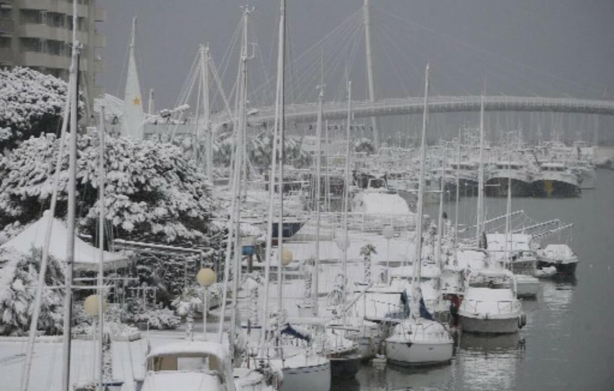 Rischio rinvio per Pescara - Fiorentina. La squadra viola potrebbe non partire - 