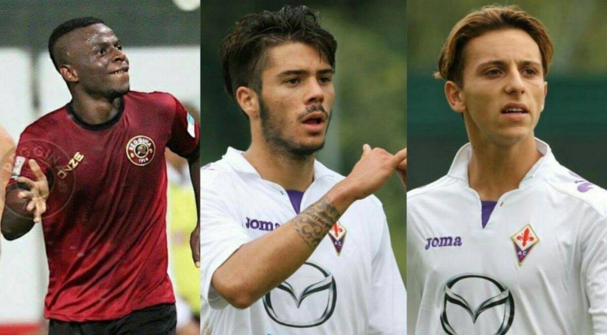 Linea verde: da Nord a Sud alla scoperta dei giovani viola in prestito - 