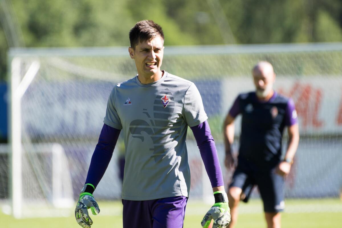 Tatarusanu verso il Nantes, il presidente: "Dovrebbe firmare a breve" alla Fiorentina 5 milioni di euro - Moena, Ritiro della Fiorentina 16.07.2017, Foto Fiorenzo Sernacchioli. Copyright Labaroviola.com Tatarusanu