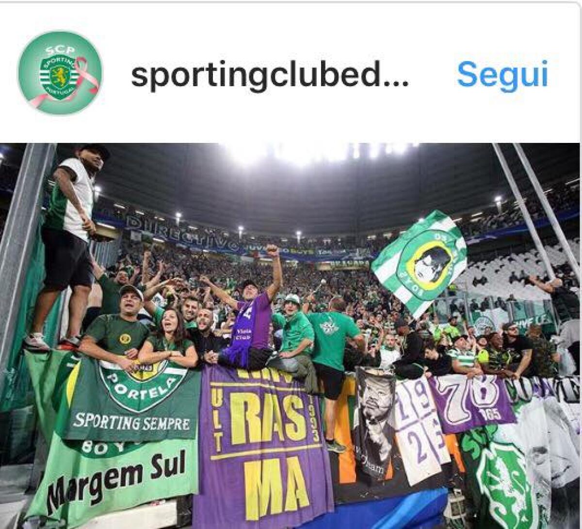 Tifosi viola a Torino per Sporting Lisbona-Juve: il gemellaggio tra fiorentini e portoghesi continua, contro i bianconeri... - 