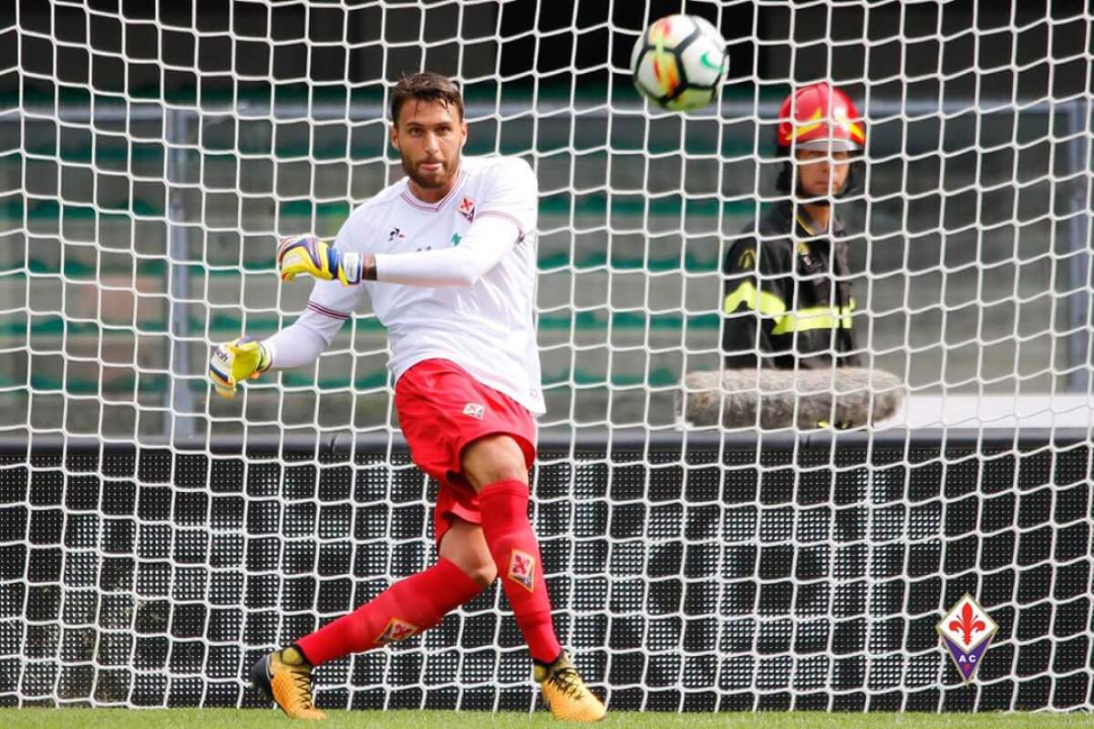 La Fiorentina riscatterà Sportiello, il Napoli prepara un'offerta alla società viola per comprare il portiere - Marco Sportiello, Verona - Fiorentina