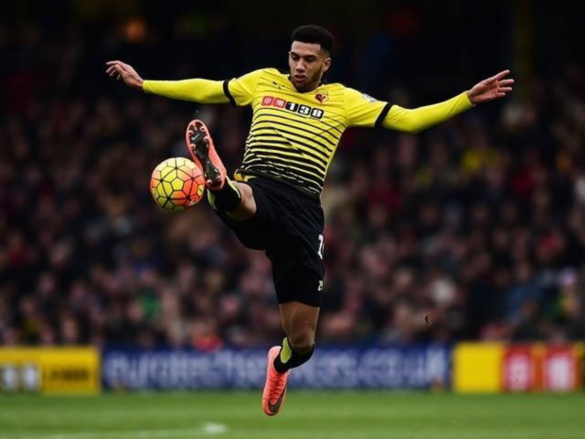 Capoue per capire se la Fiorentina vuole veramente investire, sfida con il Torino per il centrocampista... - 