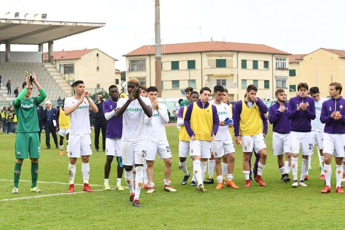 PAGELLE VIOLA: POLVERI BAGNATE PER GORI E SOTTIL. MALE FERRARINI. CEROFOLINI... - 