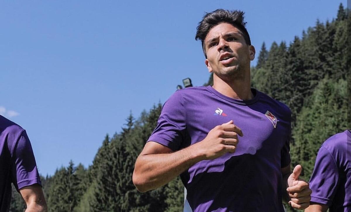 Fiorentina-Hellas 1-1, a Simeone risponde Cisse - 