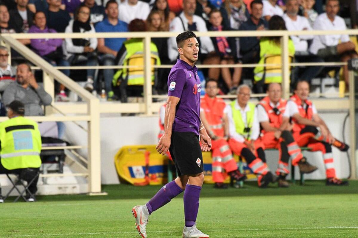 Simeone: "Felice che la gente si sia diverita, volevo fortemente il gol. La Nazionale.." - Firenze, stadio Artemio Franchi, 26.08.2018, Fiorentina-Chievo, Foto Fiorenzo Sernacchioli. Copyright Labaroviola.com, Simeone
