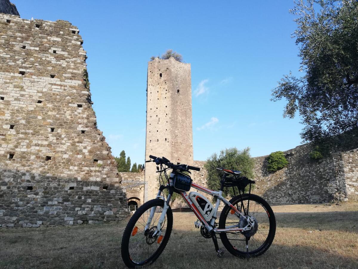 Conosciamo Antony: 23 anni da Firenze in partenza per il giro del mondo in bicicletta, con il viola nel cuore... - 