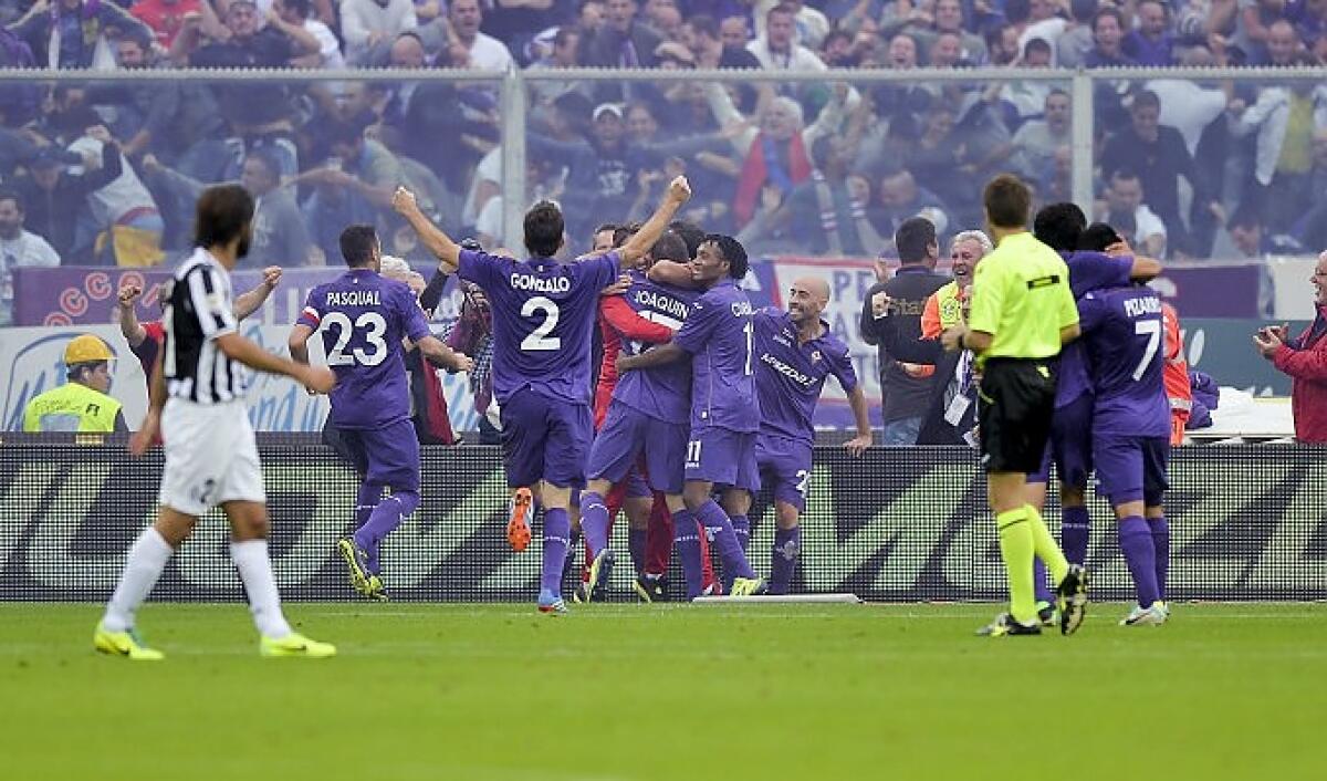 (VIDEO): la struggente storia del colore viola: è lui che ha scelto noi... - 