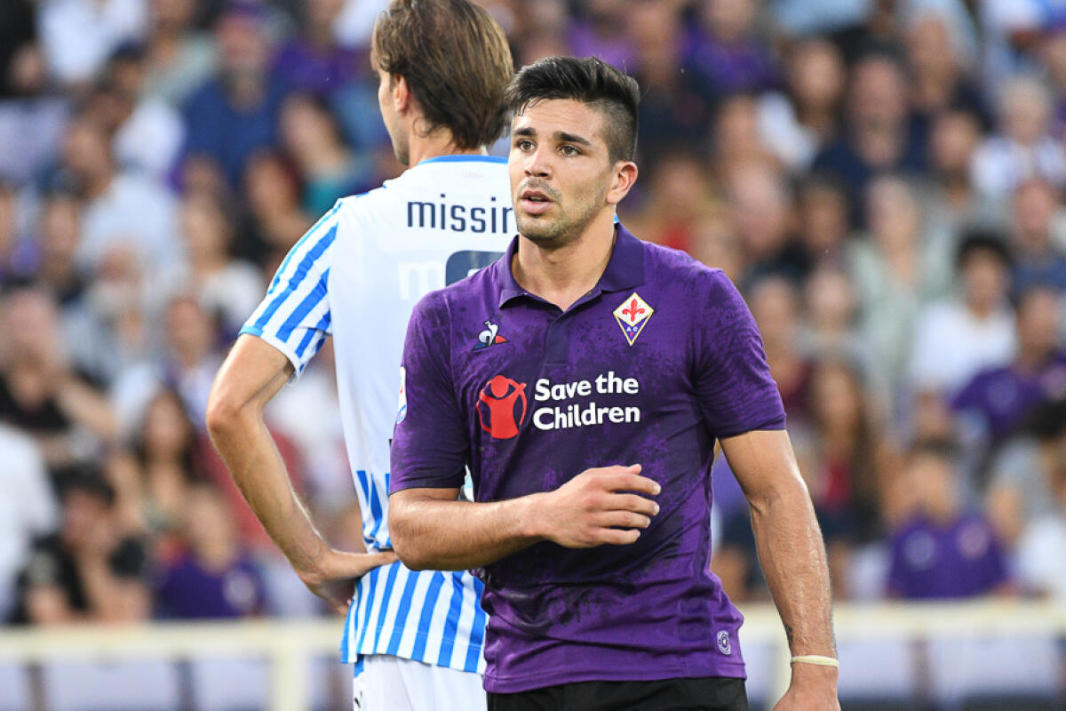 Zaccarelli: "Simeone in crisi? In zona gol si è visto pochissimo e se un attaccante non segna..." - Firenze, stadio Artemio Franchi, 22.09.2018, Fiorentina-Spal, Foto Fiorenzo Sernacchioli. Copyright Labaroviola.com, Simeone