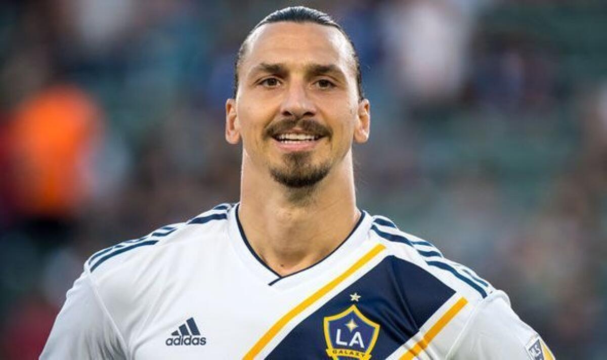 Dall'America, contatti tra Raiola e Commisso, il sogno è quello di portare Ibrahimovic alla Fiorentina - 