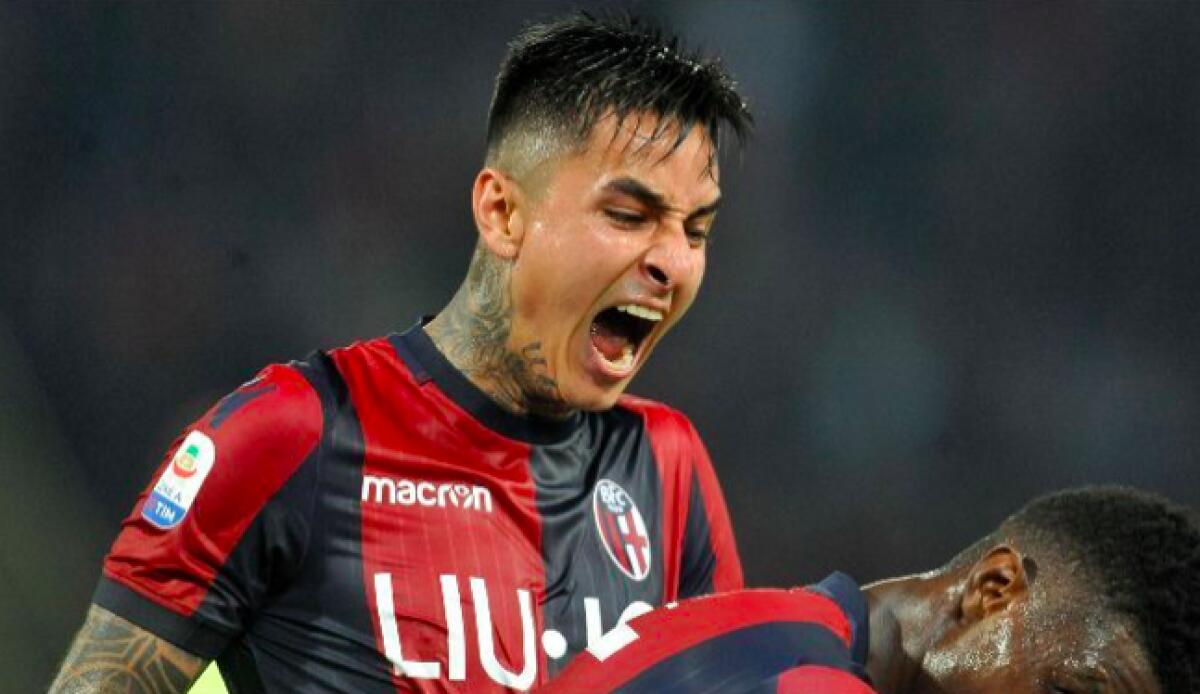 I viola pronti a versare 12 mln al Bologna per Pulgar. Il cileno chiede 2 mln di ingaggio, già domani le visite? - 