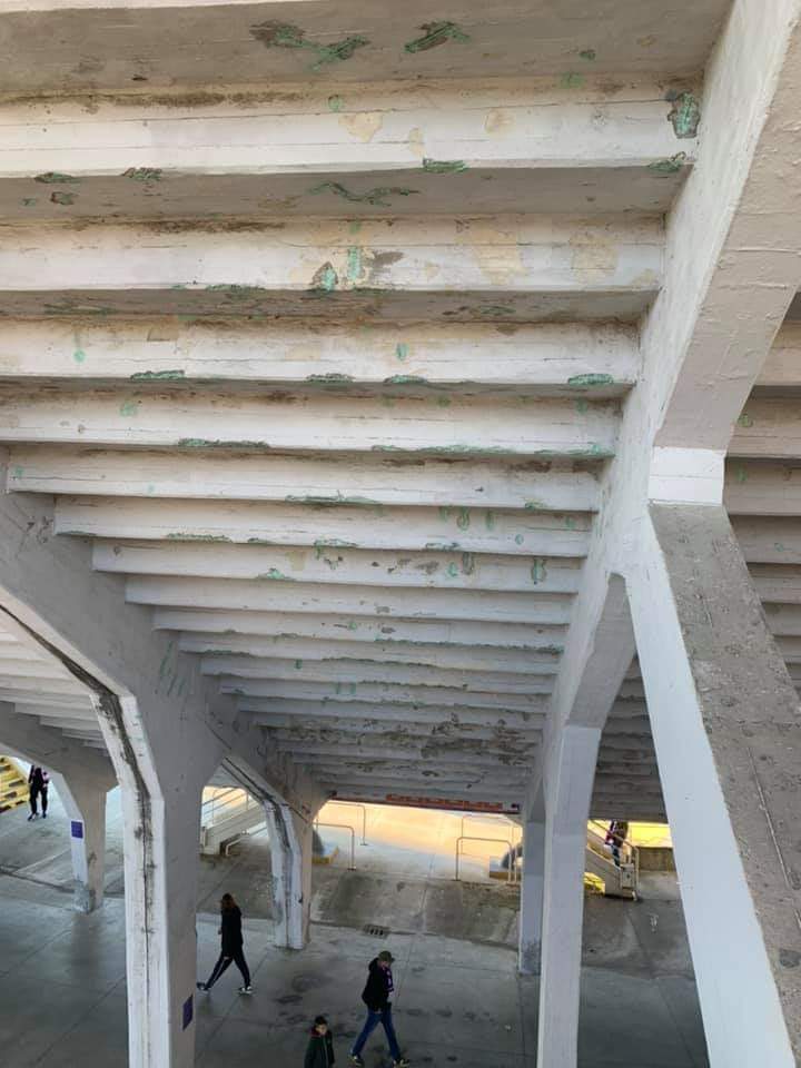 Le condizioni vergognose delle curve dello stadio Franchi, uno stato pietoso. Le immagini imbarazzanti