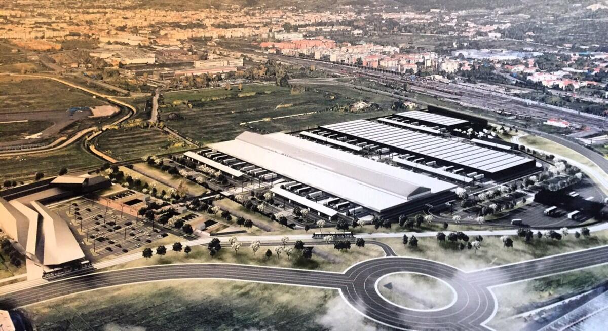 Ass. Urbanistica: "Sarà una nuova Mercafir a prescindere dallo stadio. Franchi? Continuano le manutenzioni..." - 