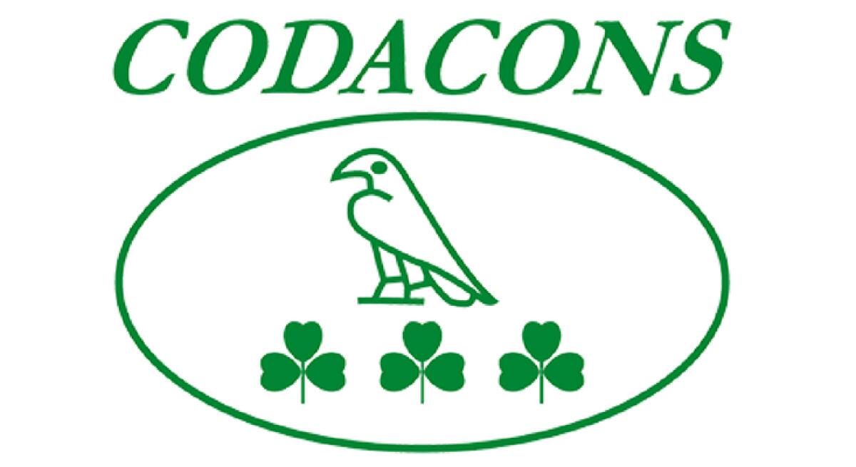 Coronavirus, il Codacons insorge e presenta un esposto: troppi tamponi a calciatori e vip - 