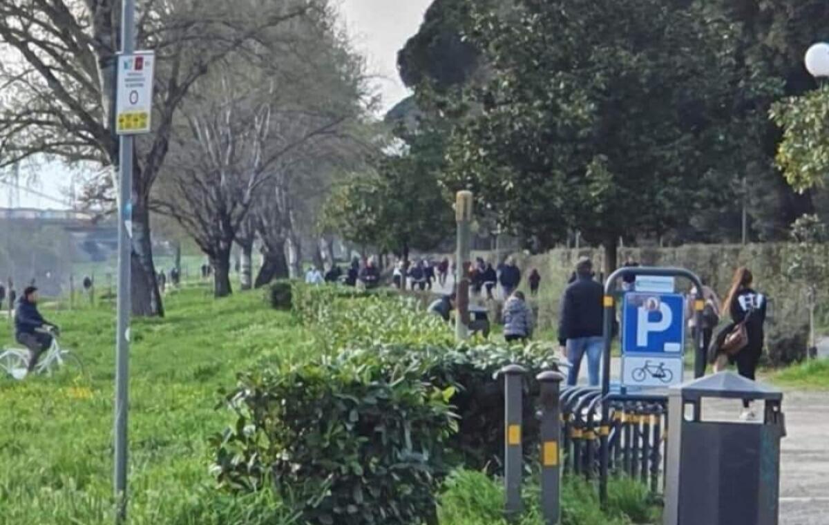 Cascine piene nei giorni di quarantena? Fake news, la foto è vecchia e non di questi giorni - 