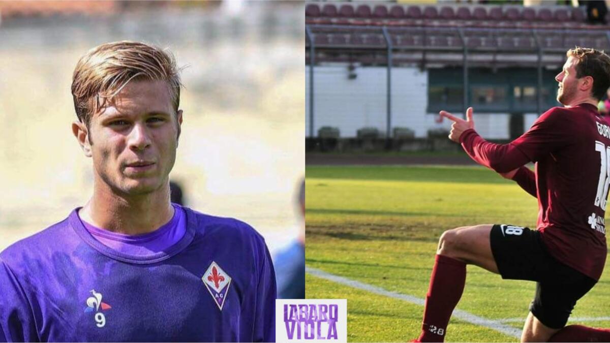 Esclusiva Gori: "Fiorentina, dammi una chance e non te ne pentirai. Sono viola da sempre, sogno la 9" - 
