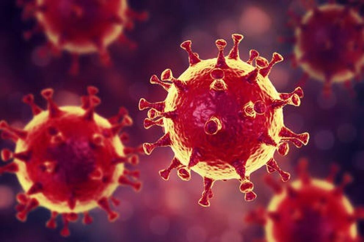 Coronavirus, a Milano i contagi già a gennaio: 1.200 lombardi positivi prima del Paziente 1 - 