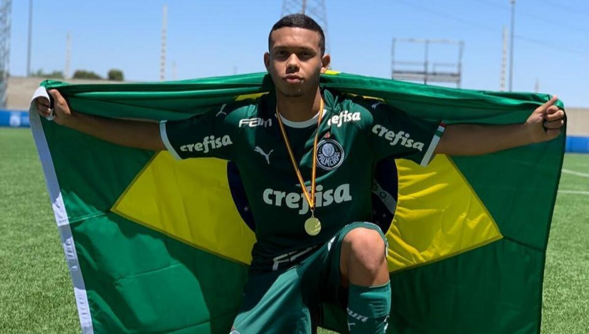 Felipe Melo? No, somiglia più ad Allan. 8 milioni? Troppi. Conosciamo Ramon Cesar - 