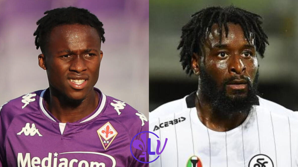 Nazione, l'ultima idea di Fiorentina e Spezia è uno scambio. Nzola a Firenze e Kouamé in Liguria? - 