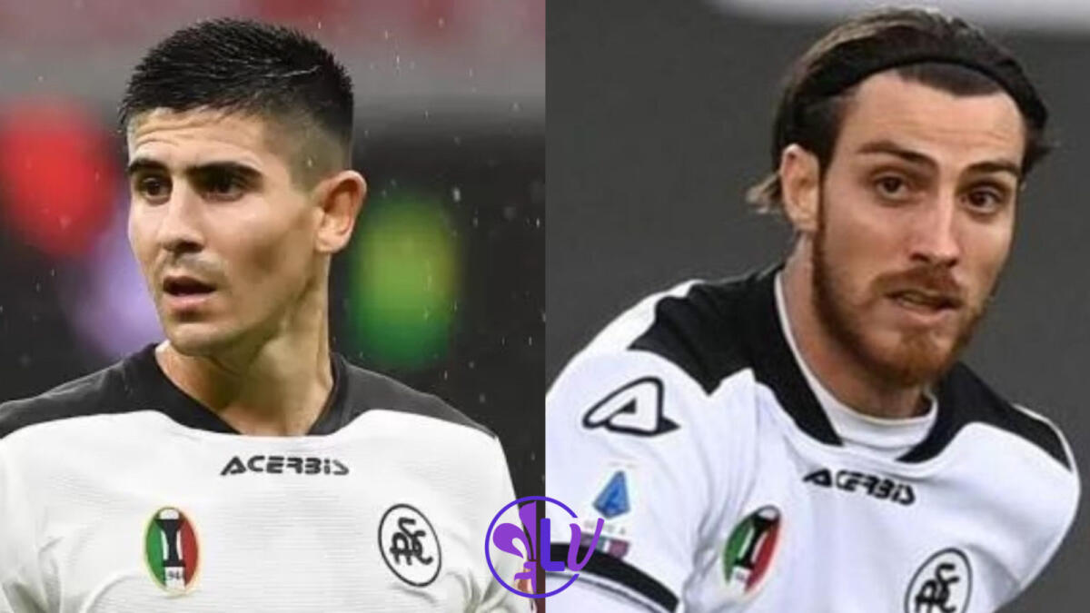 Spezia, Erlic e Bastoni salteranno la partita di venerdì contro la Fiorentina per squalifica - 