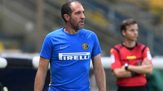 Risultato immagini per stellini