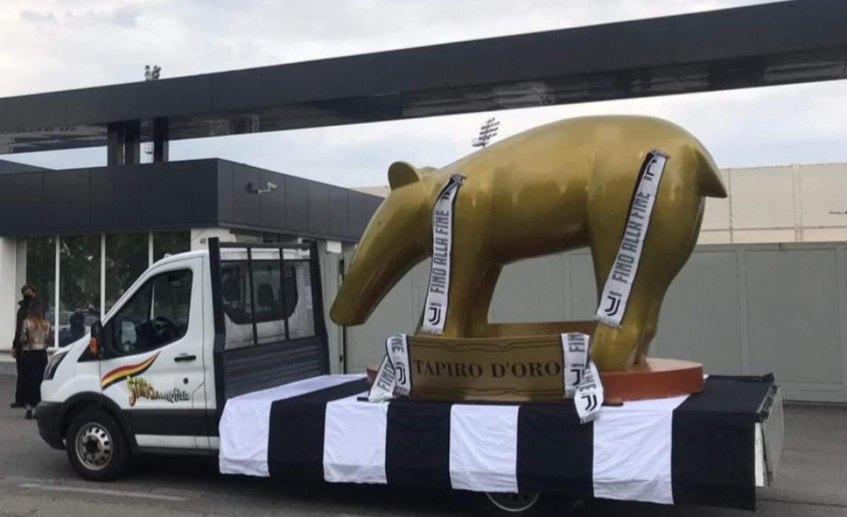 Superlega, Agnelli riceve in regalo il tapiro d'oro da Striscia la Notizia - 