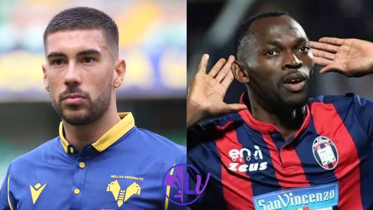 Nazione, mercato Fiorentina in stand-by: Zaccagni attende, Simy ha fretta, c'è il Bologna - 