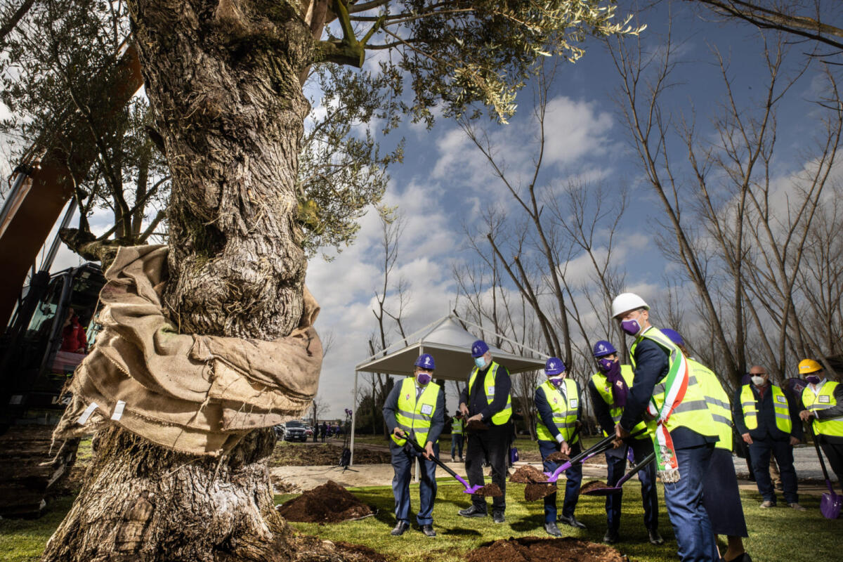 Casamonti: "Nel Viola Park tutto procede al meglio" - Foto di proprietà di ACF Fiorentina. Riproduzione vietata ©