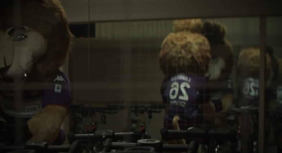 Lorenzo con il numero 26, la Fiorentina in un video mostra la sua nuova mascotte - 