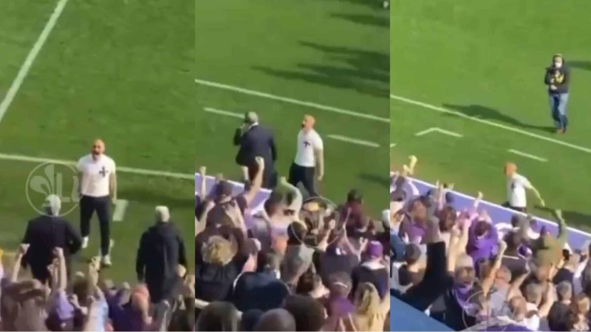 L'arbitro fischia la fine della partita e Italiano esplode di gioia con i tifosi viola in tribuna - 