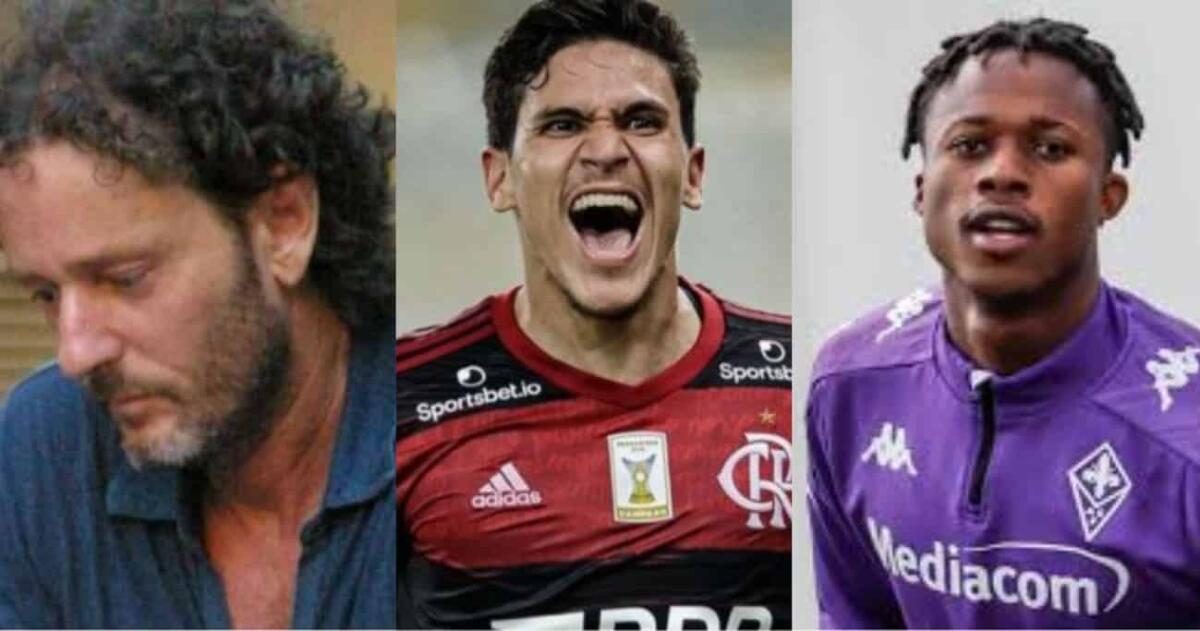 Brovarone: "Pedro andava aspettato, ora costa 25 milioni. Vorrei rivedere Kouame in viola, con Italiano" - 