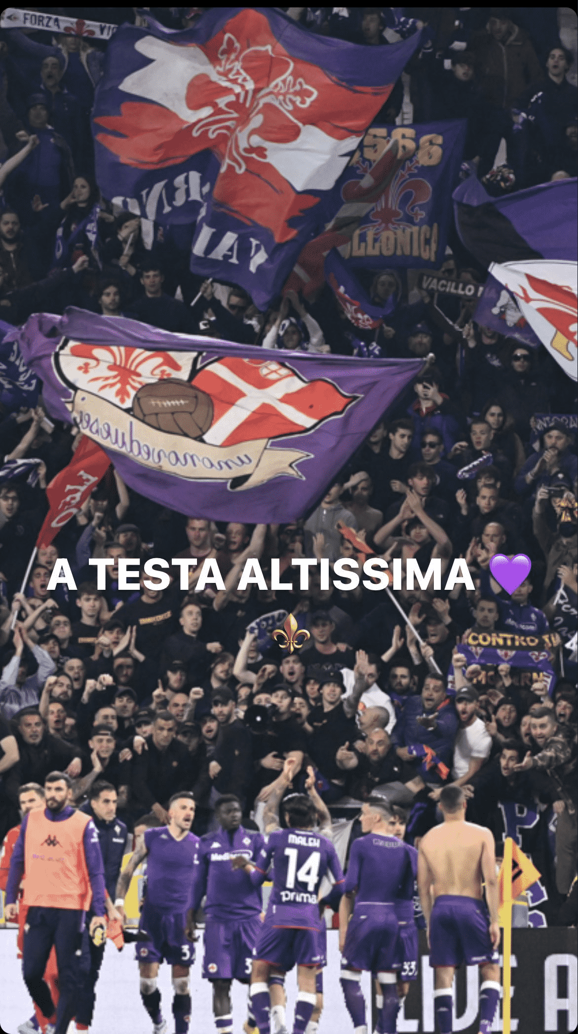 Venuti orgoglioso di Firenze e della sua Fiorentina: "A testa altissima". La storia su Instagram