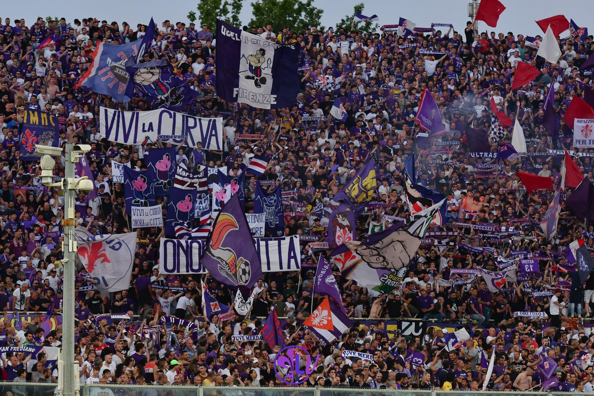 Tifosi Fiorentina