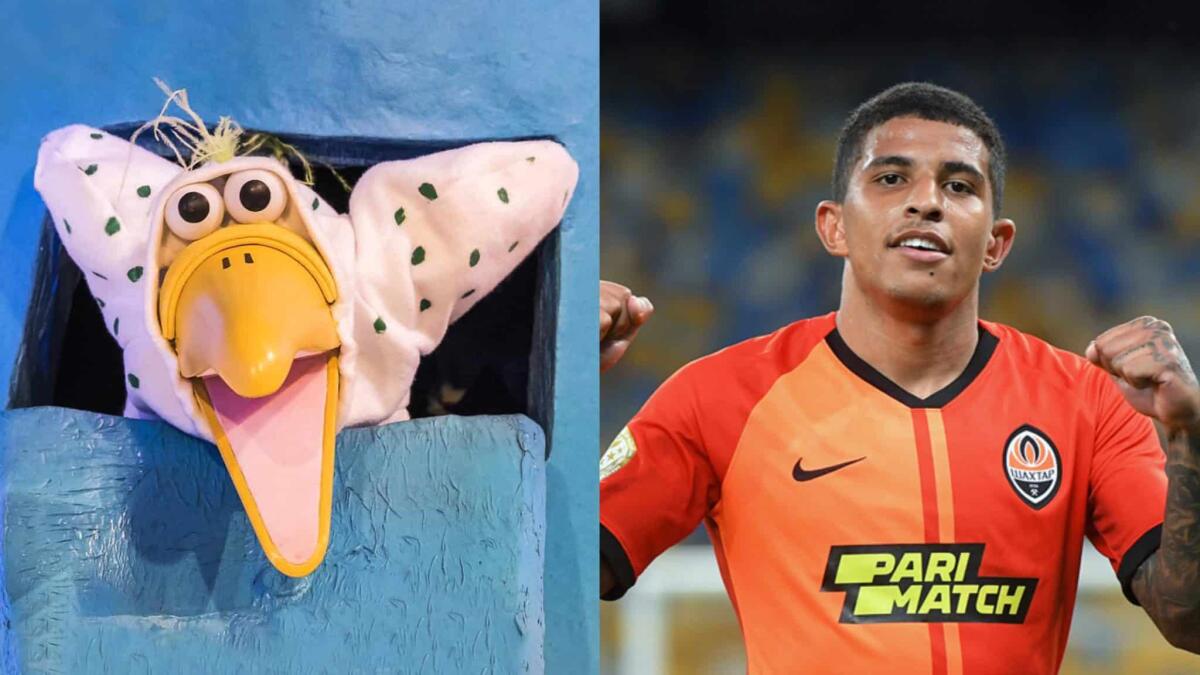 Indizio social, Dodò è in arrivo: la Fiorentina pubblica Dodò dell'Albero Azzurro - 