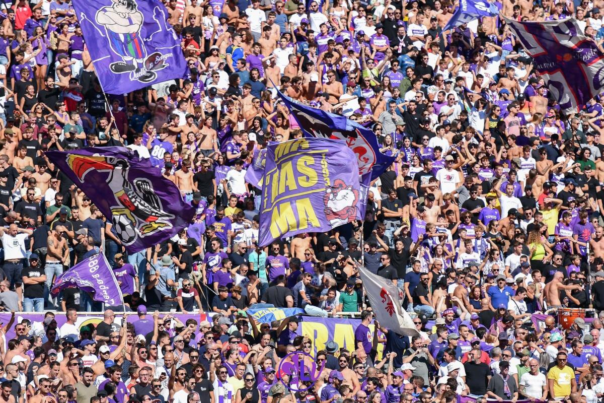 Nazione, trend di presenze al Franchi in netta crescita: media di 34.000 tifosi a partita - Tifosi ACF Fiorentina