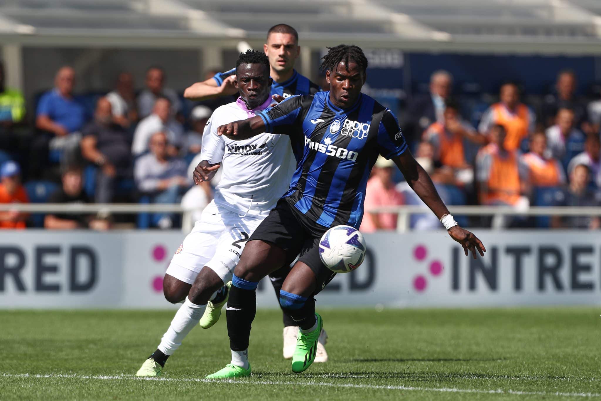 Una bella notizia per la Fiorentina, l'Atalanta pareggia in casa contro la Cremonese, Alvini blocca Gasp