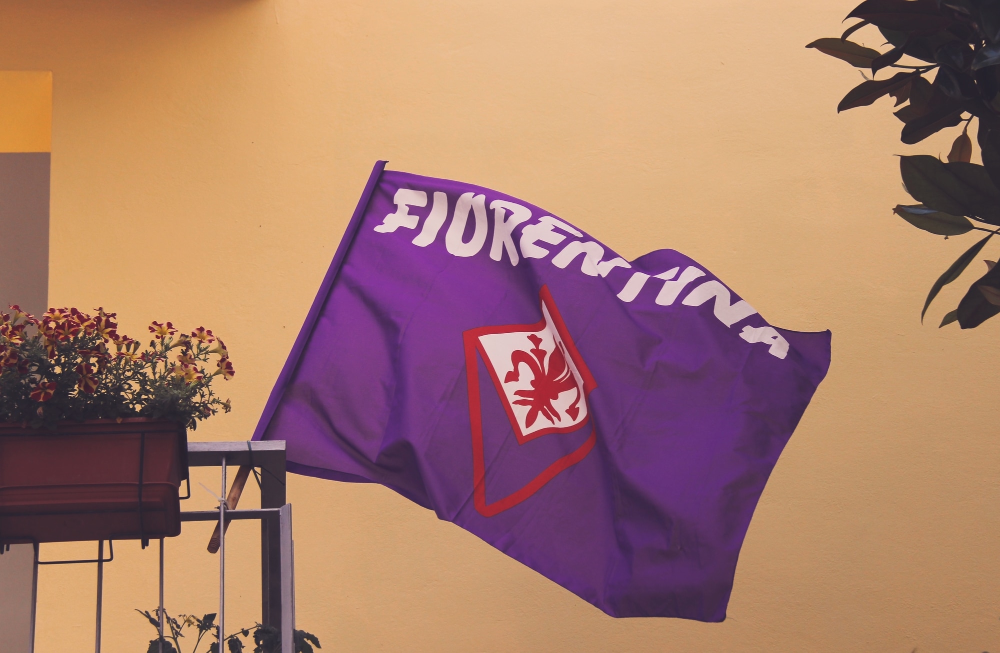 Quanto è conosciuta la Viola fuori dall’Italia?