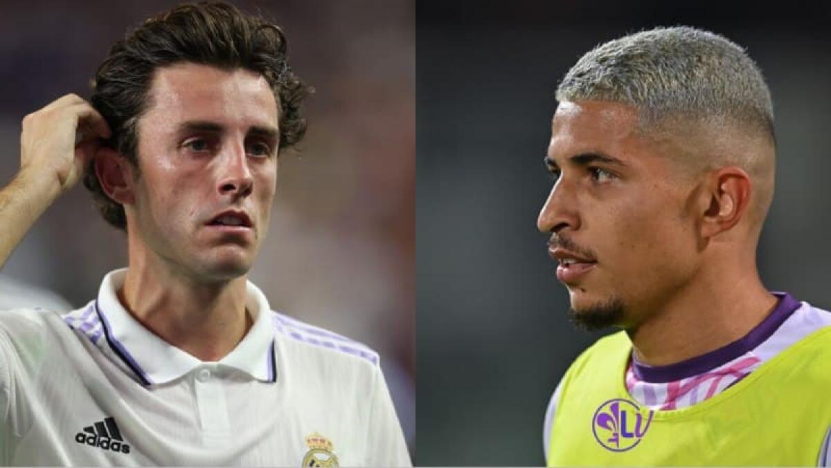 Bucchioni: "Dove sono quelli che dicevano che Odriozola era meglio di Dodò? Rotazioni danno i frutti" - 