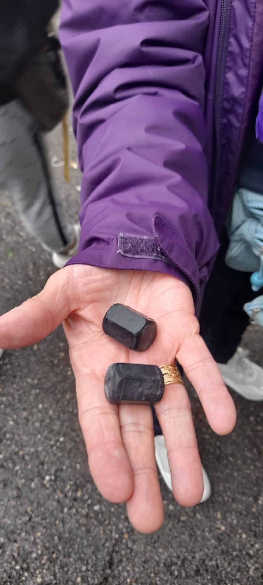 Proiettili di gomma contro i tifosi della Fiorentina. La polizia interviene a Basilea per evitare scontri