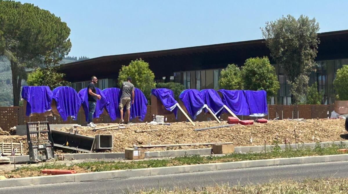 "Rocco Commisso Training Center" il Viola Park svela il suo nome il giorno prima dell'apertura - 