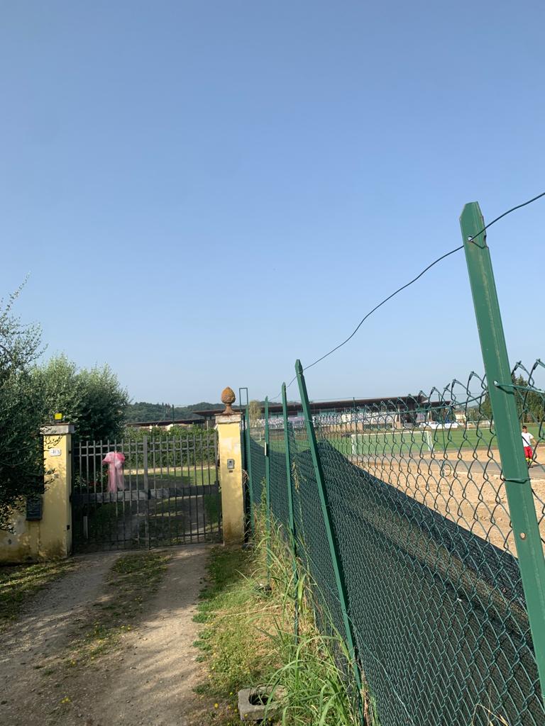 È tutto pronto al Viola Park per l'inizio del ritiro. Ecco tutte le fotografie dell'impianto