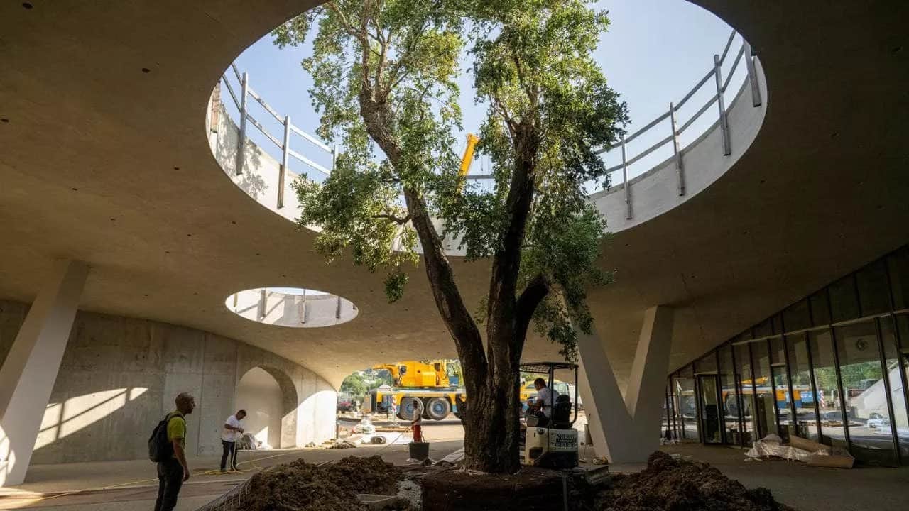 Viaggio nel Viola Park, tutte le foto. C'è anche una stanza che tramite sensori preverrà gli infortuni