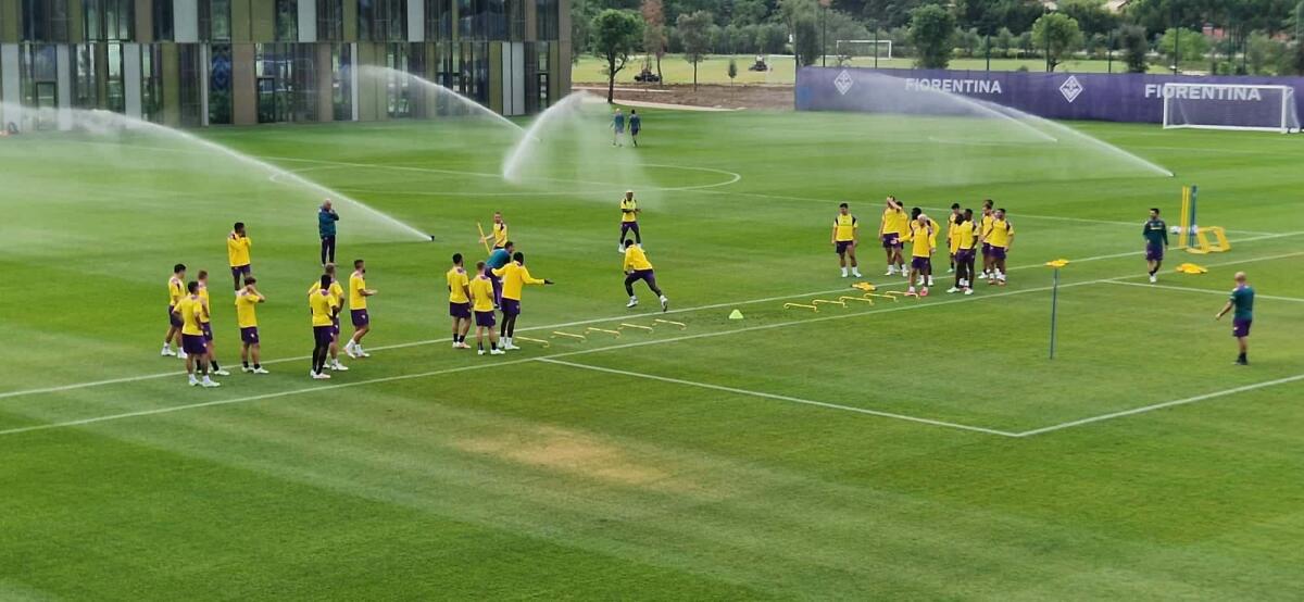 Dal Viola Park: alla rifinitura verso Fiorentina-Rapid assenti Amrabat ed Infantino. Ci sono Jovic, Barak e Sabiri - 