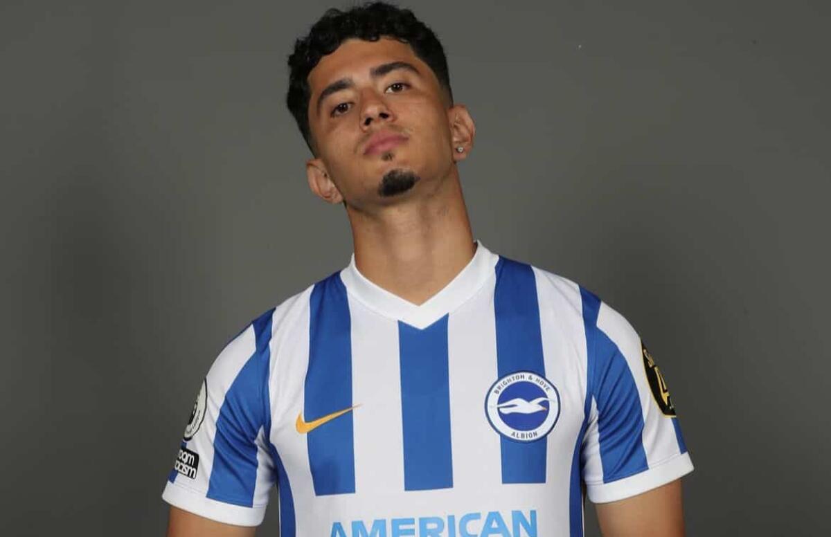 Dall'Inghilterra: Fiorentina sul centrocampista Alzate del Brighton. Su di lui anche il Wolverhampton - 