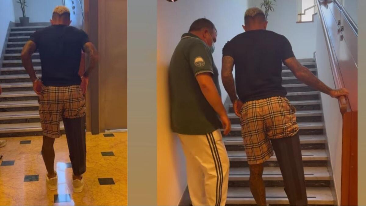 Dodò non perde tempo dopo il brutto infortunio: già in piedi e cammina. Inizia il suo recupero - 