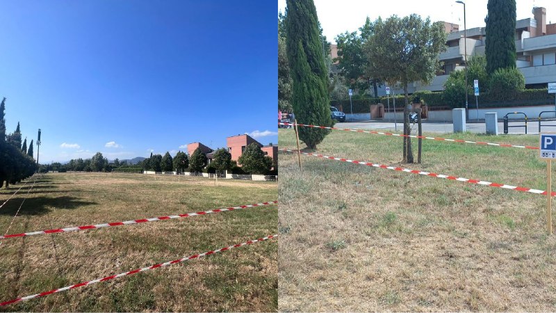 Domani prima ufficiale al Viola Park con i tifosi: parcheggio in Via Granacci disponibile. Il comunicato