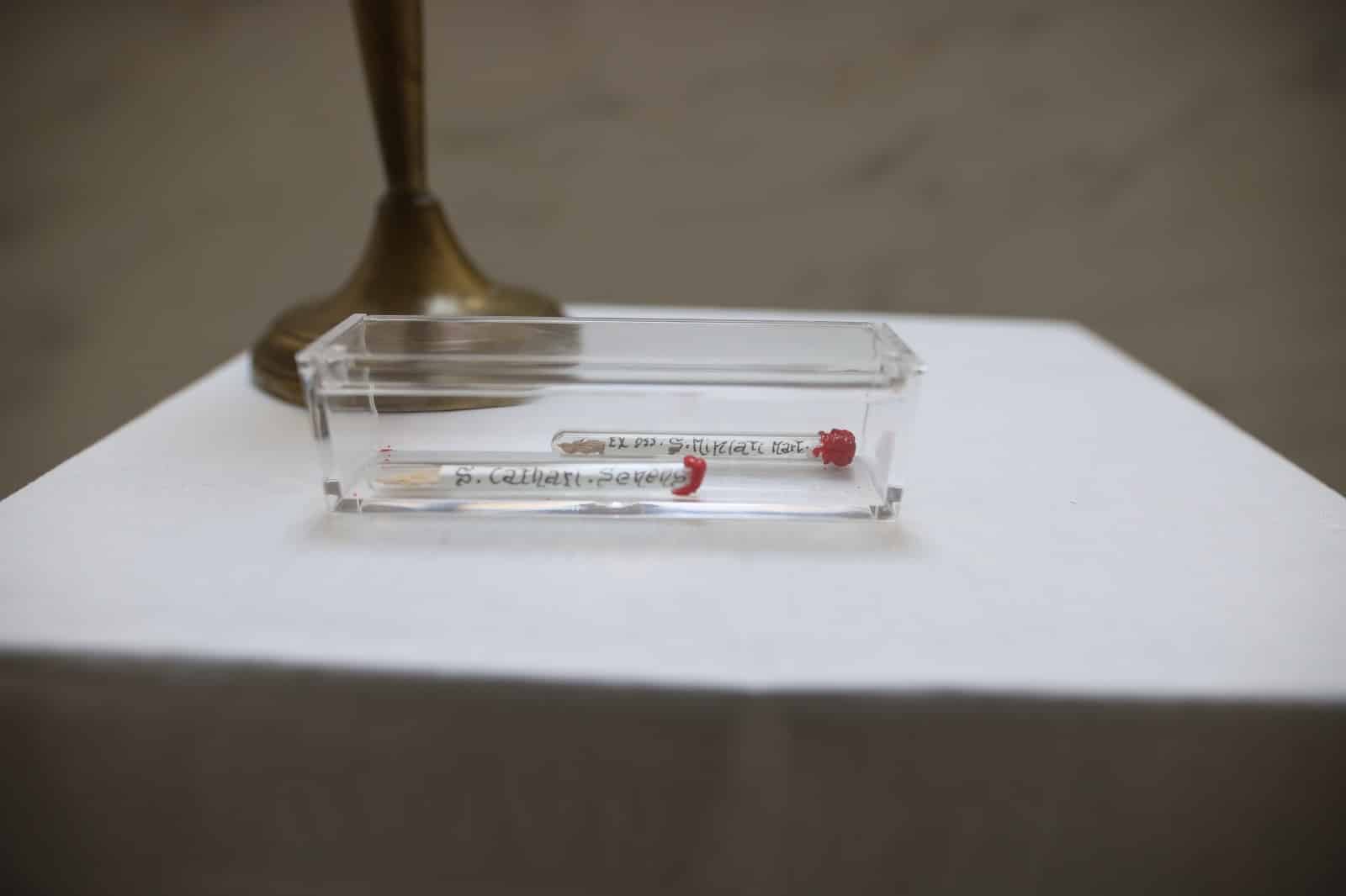 Oggi è stata consacrata la Cappella Santa Caterina al Viola Park: presenti Commisso e Catherine